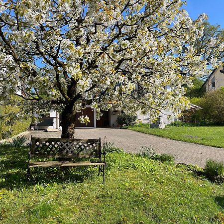 Ferienwohnung Am Kirschbaum Uhldingen-Mühlhofen Zewnętrze zdjęcie